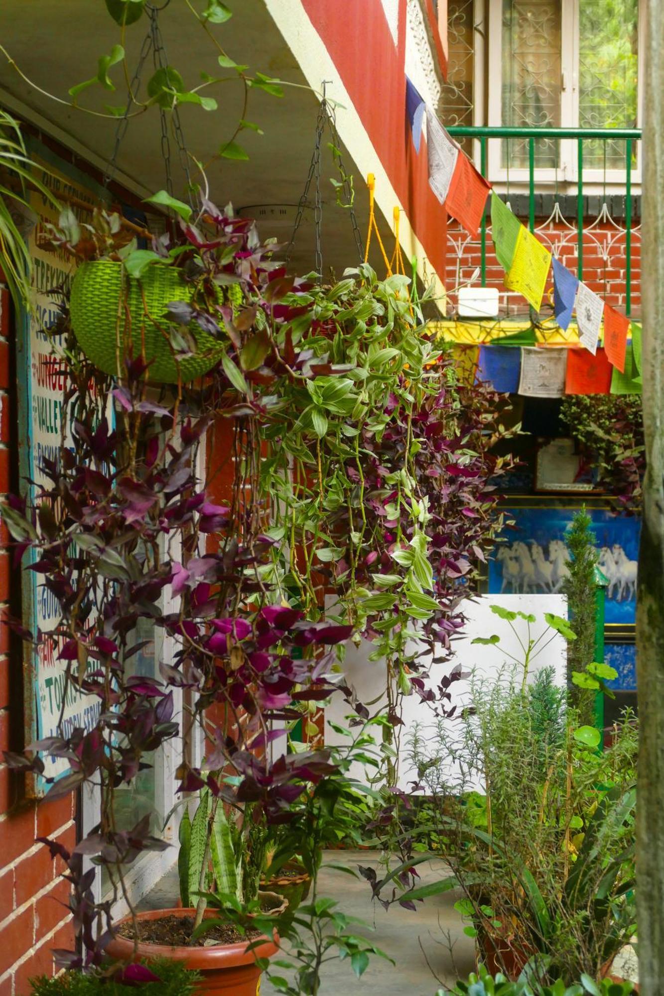 Nirvana Green Peace Home Катманду Екстериор снимка