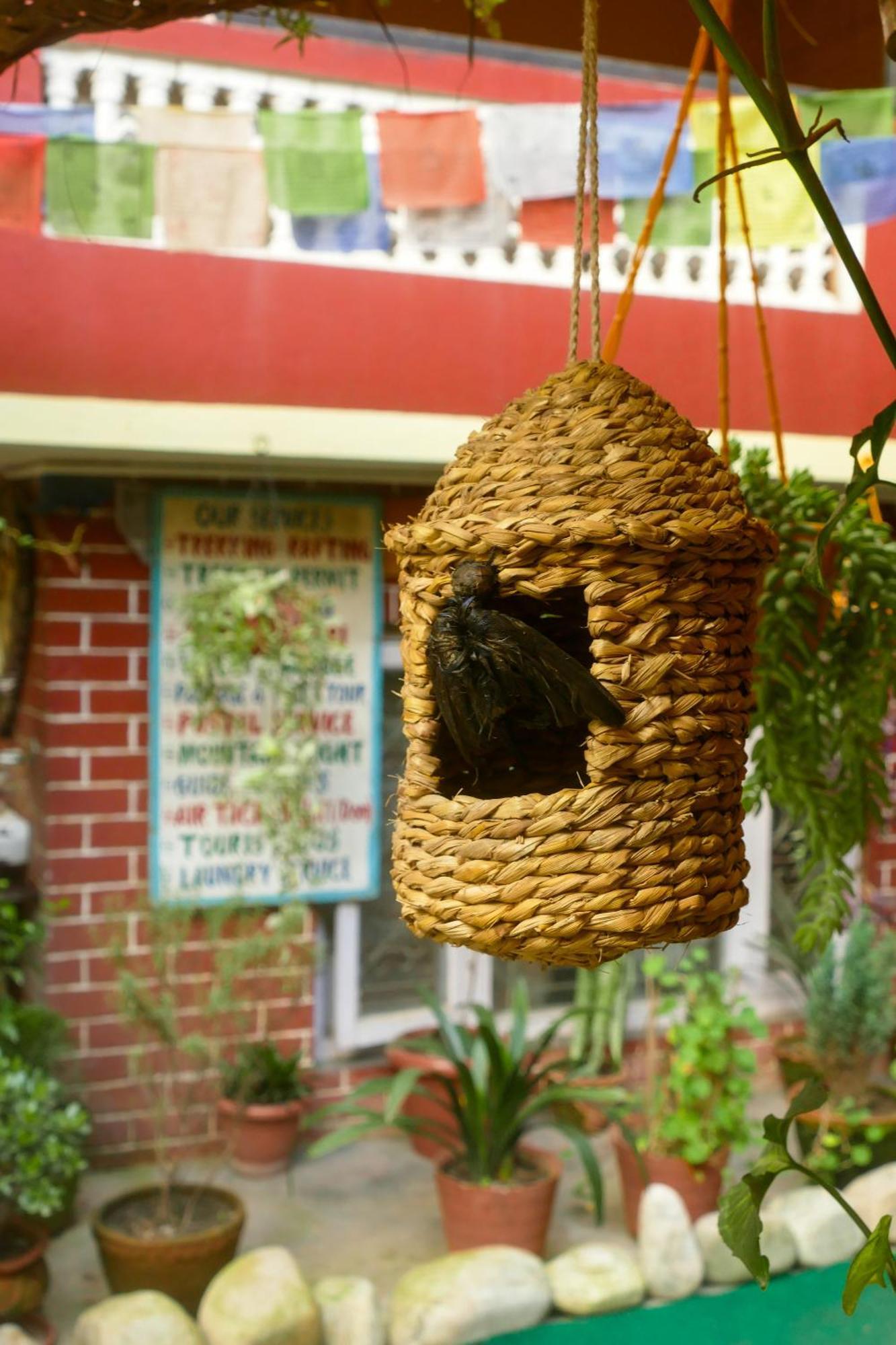 Nirvana Green Peace Home Катманду Екстериор снимка